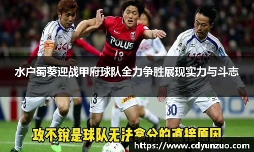 水户蜀葵迎战甲府球队全力争胜展现实力与斗志